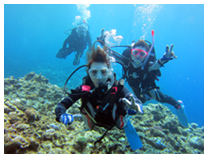 PADI スクーバダイビング講習コース